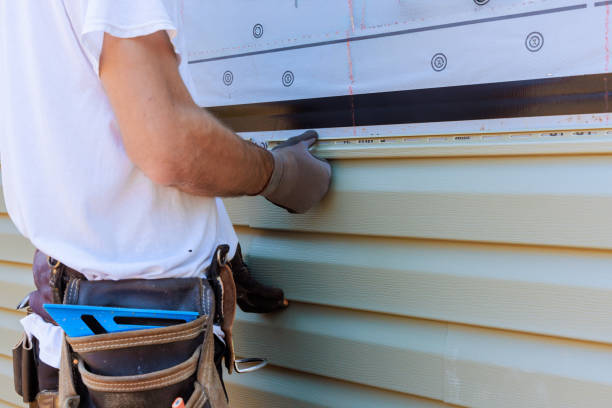 Best Insulated Siding Installation  in Sault Ste Marie, MI